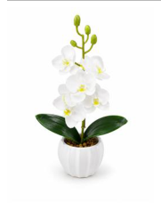 Orquídea 18 cm — fotografia do produto