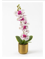 Orquídea 36 cm — fotografia do produto