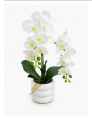 Orquídea 35 cm — fotografia do produto