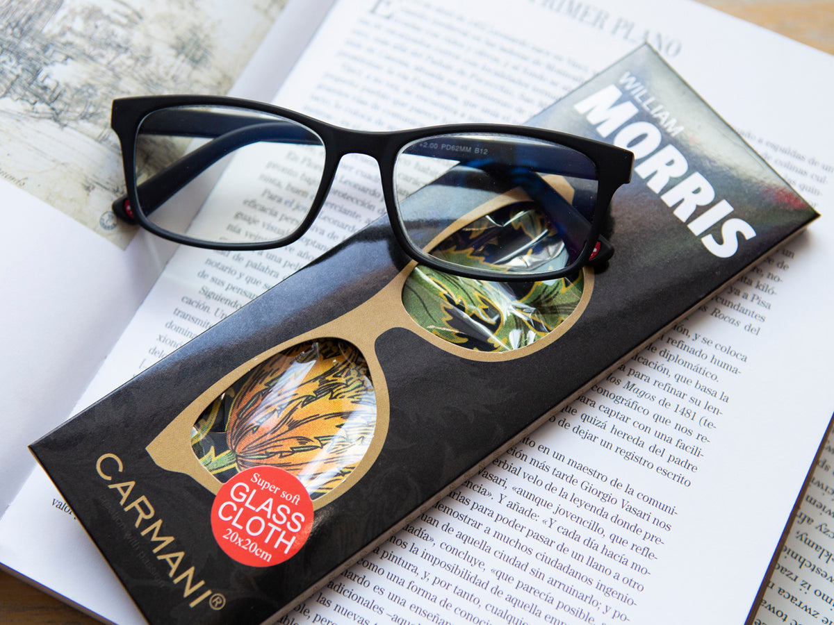 William Morris — Strawberry Thief — Tela com Moldura Grande 80x60cm